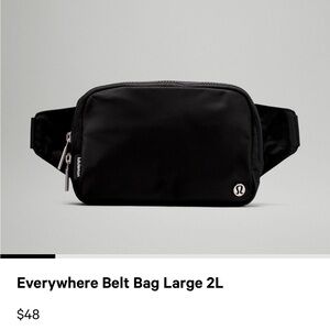 Everywhere belt bag large 2L